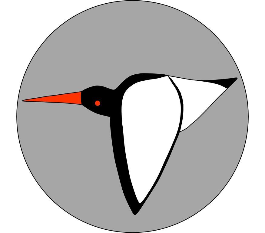 Oystercatcher St Ives Esterno foto